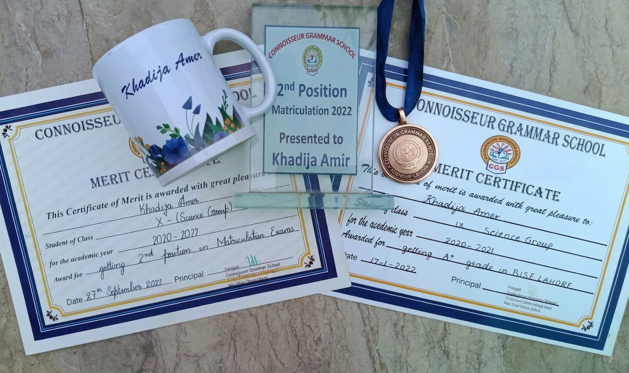 Board Merit Award & Shield